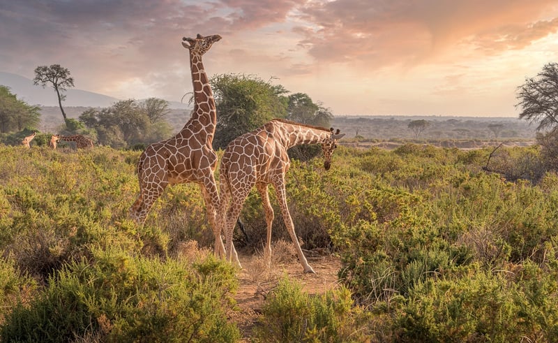 Great Rift Valley, Kenya